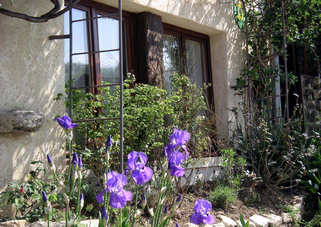 Hotel Le Verger Sous Les Vignes à Villeferry Extérieur photo